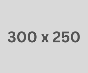 300x250 Inline Rectangle