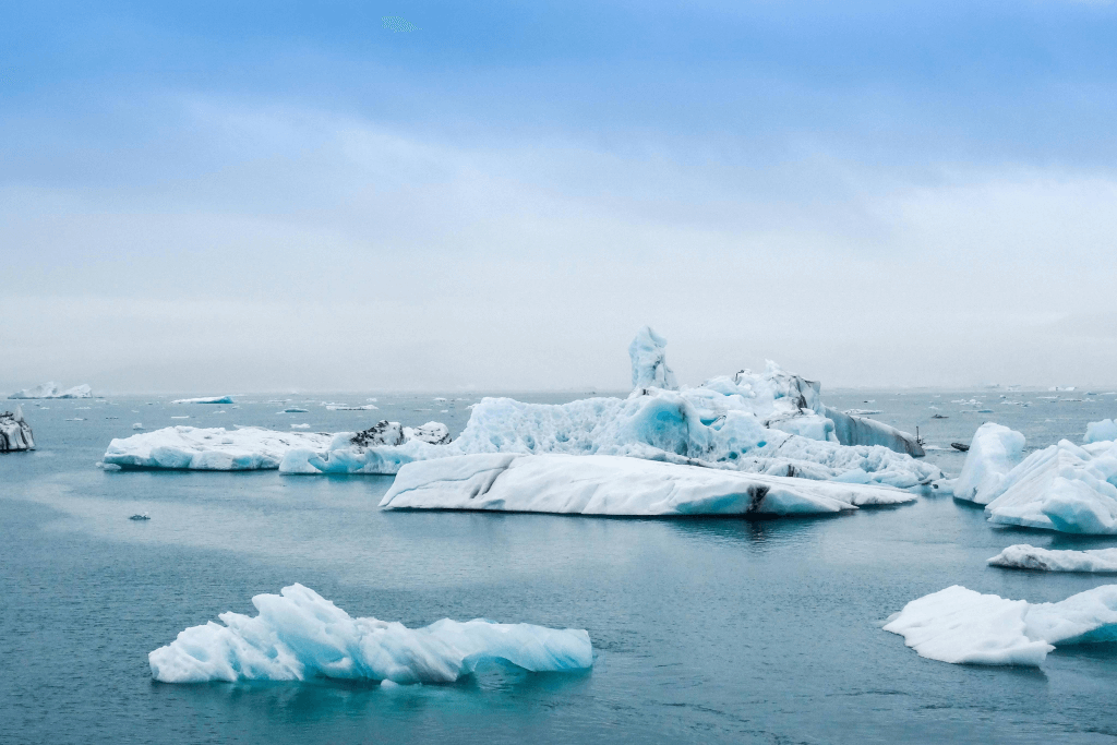 Aerial view of newly planted saplings in a reforestation project